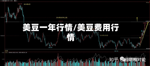 美豆一年行情/美豆费用行情