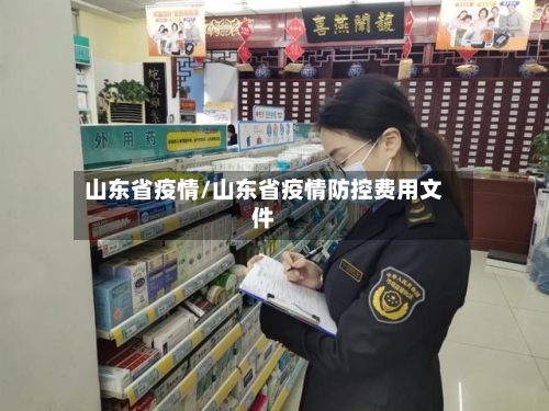 山东省疫情/山东省疫情防控费用文件-第2张图片