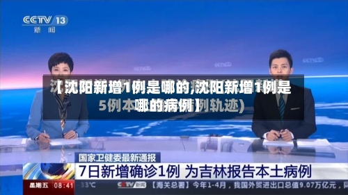 【沈阳新增1例是哪的,沈阳新增1例是哪的病例】-第2张图片
