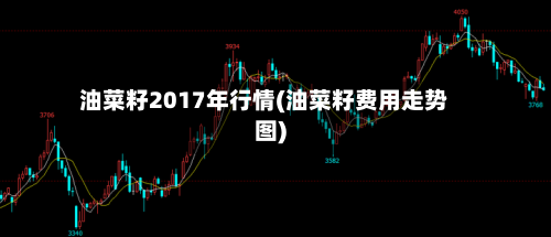 油菜籽2017年行情(油菜籽费用走势图)-第2张图片