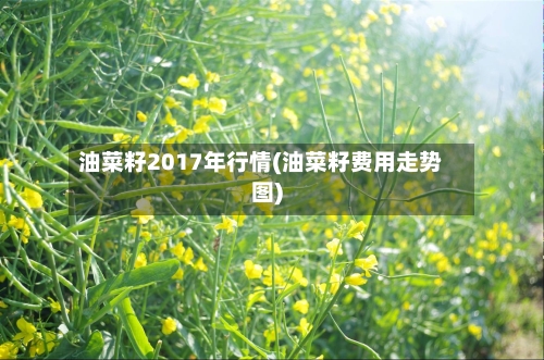 油菜籽2017年行情(油菜籽费用走势图)