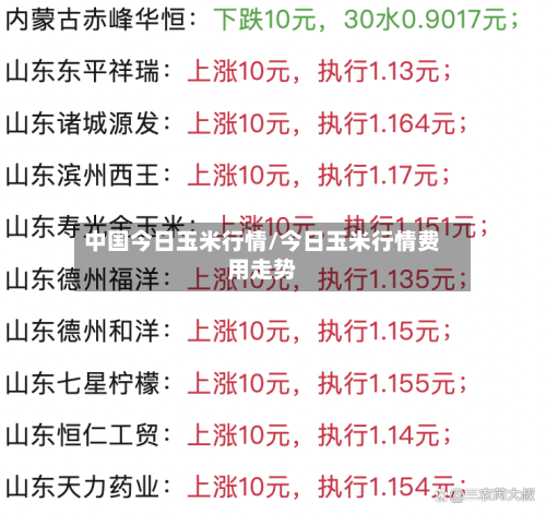 中国今日玉米行情/今日玉米行情费用走势-第2张图片