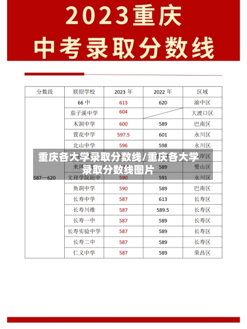 重庆各大学录取分数线/重庆各大学录取分数线图片