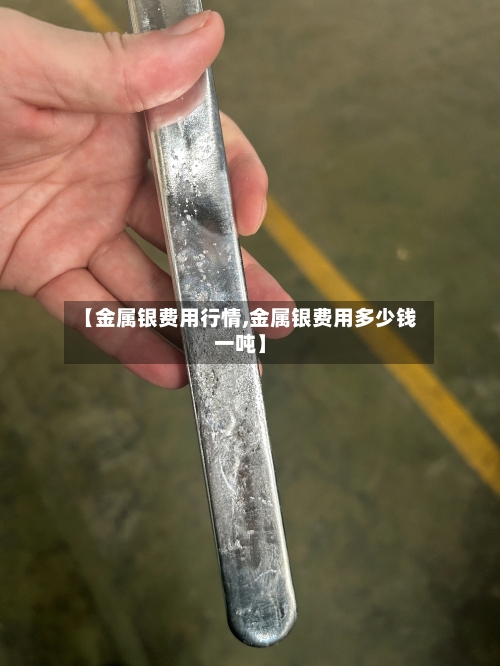 【金属银费用行情,金属银费用多少钱一吨】-第2张图片