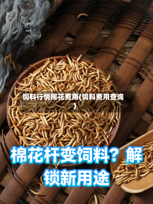 饲料行情棉花费用(饲料费用查询)
