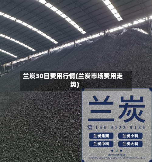 兰炭30日费用行情(兰炭市场费用走势)