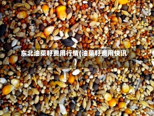 东北油菜籽费用行情(油菜籽费用快讯)