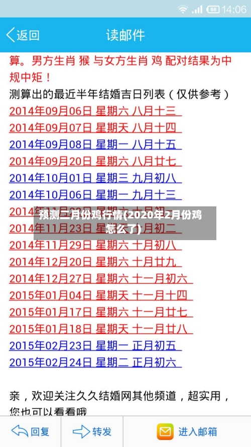 预测二月份鸡行情(2020年2月份鸡怎么了)
