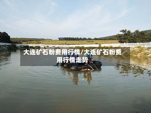 大连矿石粉费用行情/大连矿石粉费用行情走势-第2张图片