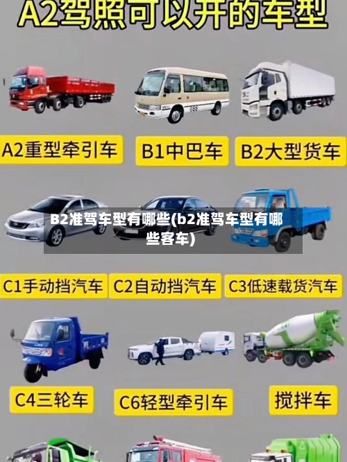 B2准驾车型有哪些(b2准驾车型有哪些客车)