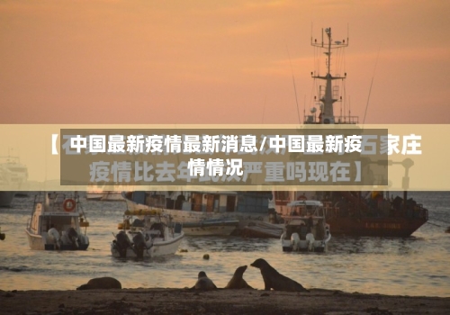 中国最新疫情最新消息/中国最新疫情情况-第2张图片