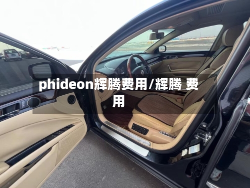 phideon辉腾费用/辉腾 费用-第2张图片