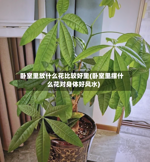卧室里放什么花比较好里(卧室里摆什么花对身体好风水)