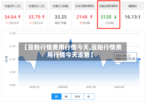 【豆粕行情费用行情今天,豆粕行情费用行情今天走势】