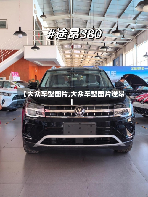 【大众车型图片,大众车型图片途昂】-第3张图片