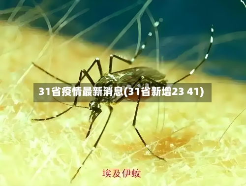 31省疫情最新消息(31省新增23 41)