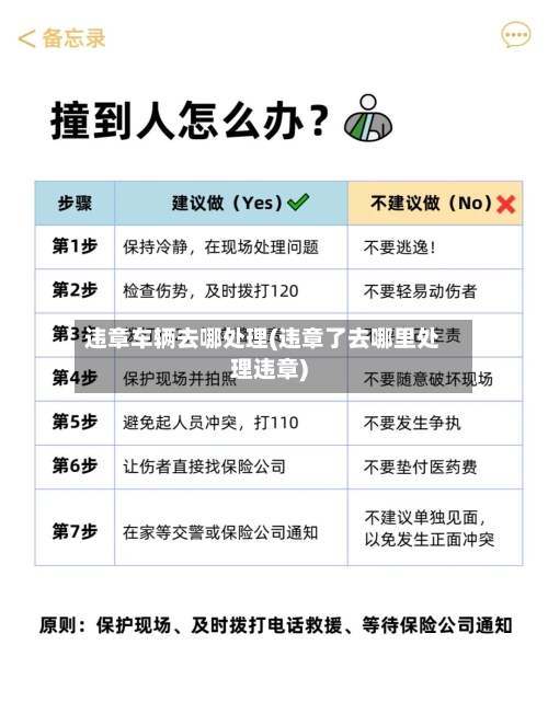 违章车辆去哪处理(违章了去哪里处理违章)-第2张图片