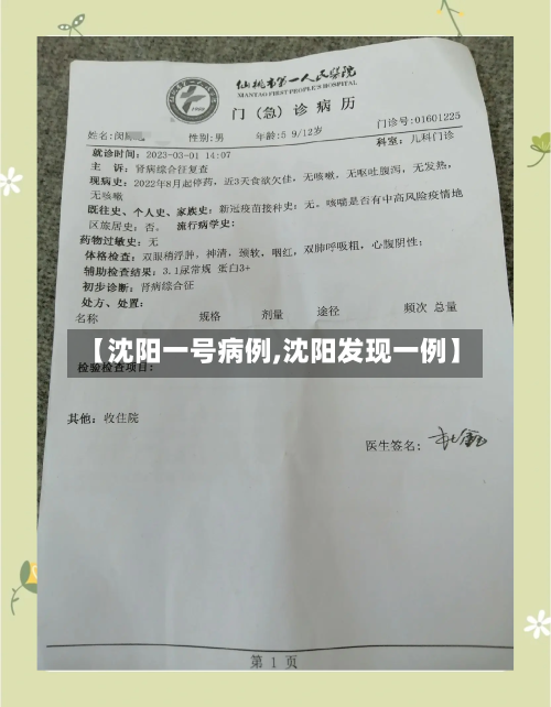 【沈阳一号病例,沈阳发现一例】