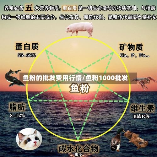 鱼粉的批发费用行情/鱼粉1000批发