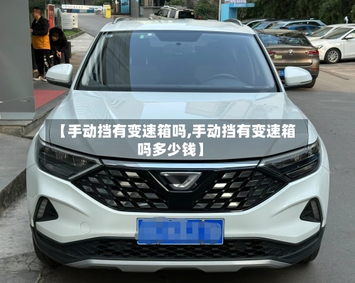 【手动挡有变速箱吗,手动挡有变速箱吗多少钱】