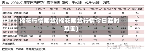 棉花行情期货(棉花期货行情今日实时查询)-第2张图片