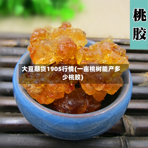 大豆期货1905行情(一亩桃树能产多少桃胶)