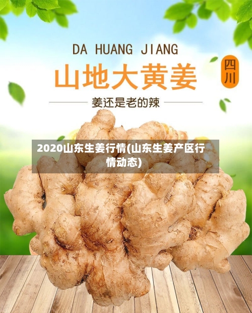 2020山东生姜行情(山东生姜产区行情动态)