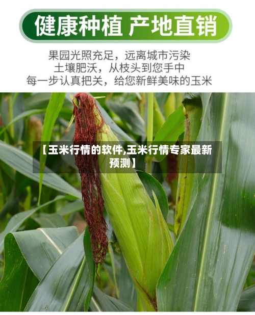 【玉米行情的软件,玉米行情专家最新预测】