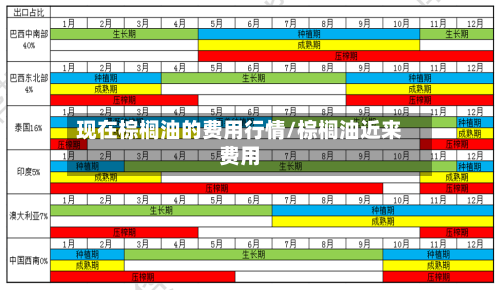 现在棕榈油的费用行情/棕榈油近来费用-第2张图片