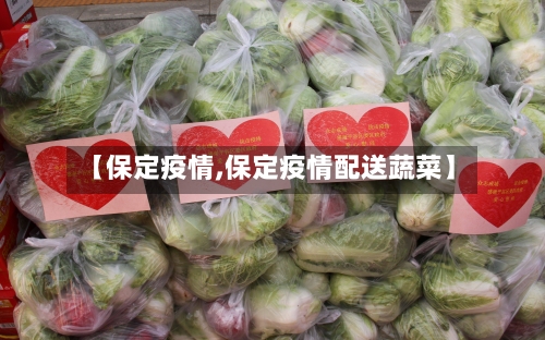 【保定疫情,保定疫情配送蔬菜】