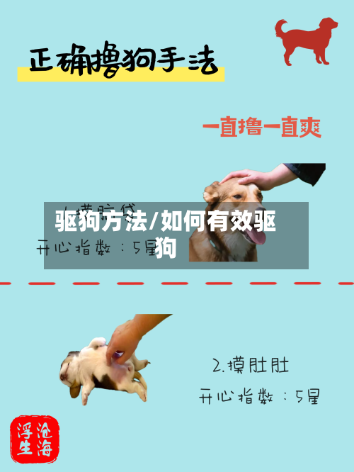 驱狗方法/如何有效驱狗-第3张图片
