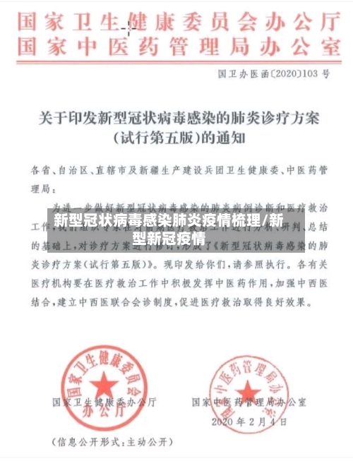 新型冠状病毒感染肺炎疫情梳理/新型新冠疫情