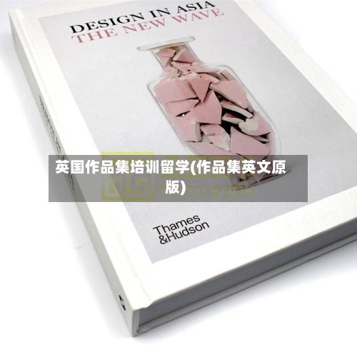 英国作品集培训留学(作品集英文原版)-第2张图片