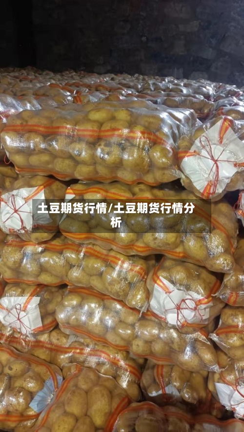 土豆期货行情/土豆期货行情分析
