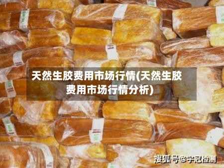 天然生胶费用市场行情(天然生胶费用市场行情分析)