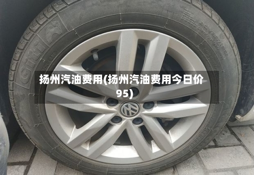 扬州汽油费用(扬州汽油费用今日价95)-第2张图片