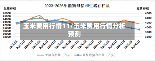 玉米费用行情11/玉米费用行情分析预测-第2张图片