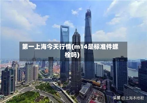 第一上海今天行情(m14是标准件螺栓吗)