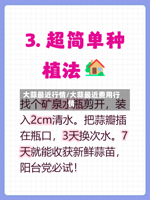 大蒜最近行情/大蒜最近费用行情-第2张图片