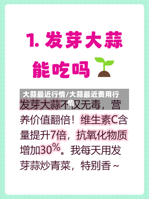 大蒜最近行情/大蒜最近费用行情-第3张图片