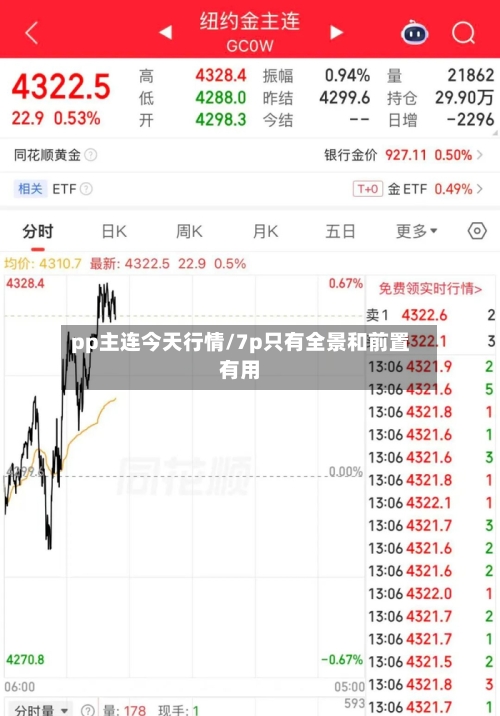 pp主连今天行情/7p只有全景和前置有用