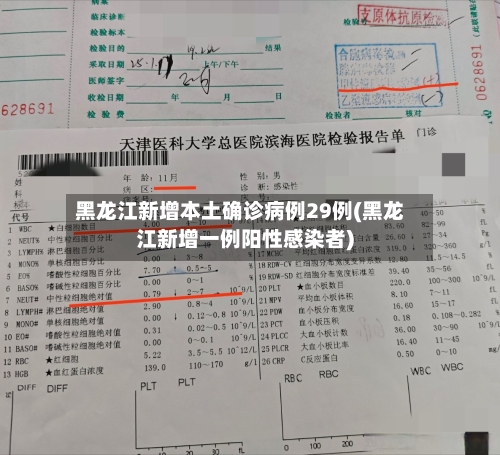 黑龙江新增本土确诊病例29例(黑龙江新增一例阳性感染者)-第3张图片