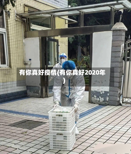 有你真好疫情(有你真好2020年)