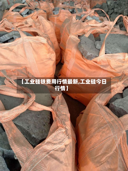 【工业硅铁费用行情最新,工业硅今日行情】