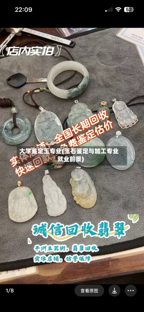 大学鉴定玉专业(玉石鉴定与加工专业就业前景)