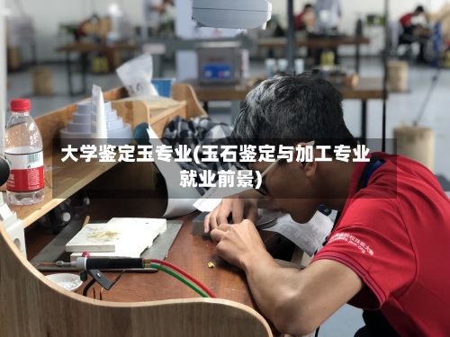 大学鉴定玉专业(玉石鉴定与加工专业就业前景)-第2张图片