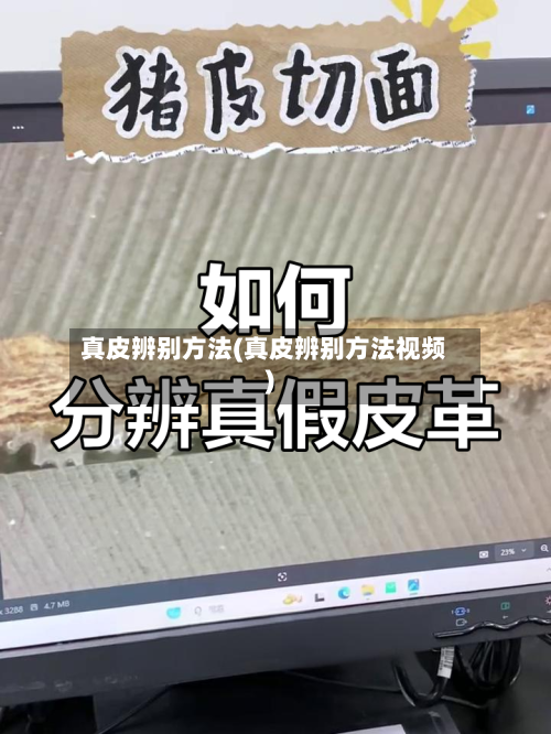 真皮辨别方法(真皮辨别方法视频)-第2张图片