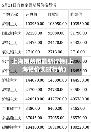 上海锡费用最新行情(上海锡价实时行情)