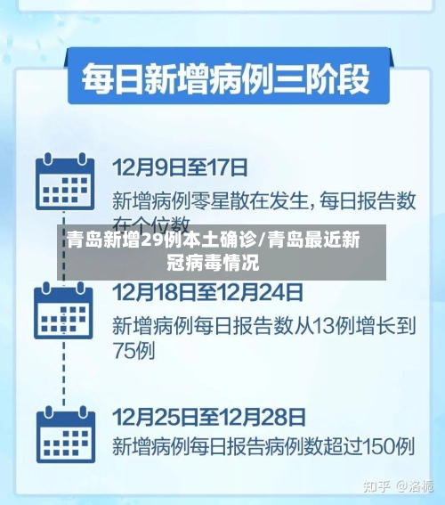 青岛新增29例本土确诊/青岛最近新冠病毒情况-第3张图片