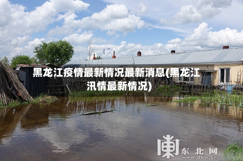 黑龙江疫情最新情况最新消息(黑龙江汛情最新情况)-第2张图片
